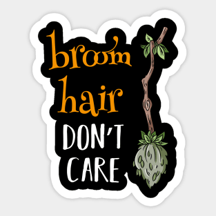 Broom Hair Don't Care Sticker